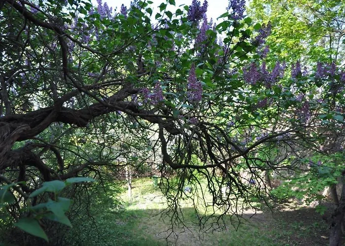 Apartamento Poznanska